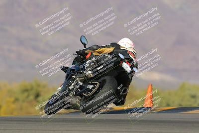 media/Feb-04-2023-SoCal Trackdays (Sat) [[8a776bf2c3]]/Turn 9 Backside (145pm)/